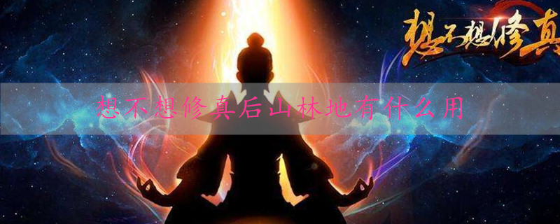 想不想修真后山林地有什么用