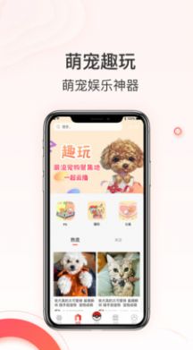 相宠app最新版图片1