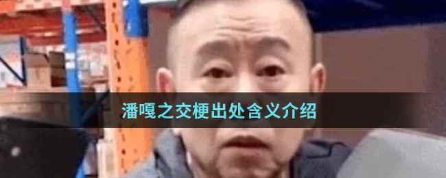 潘嘎之交梗出处含义介绍
