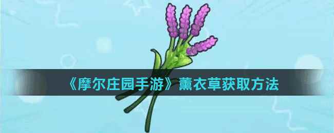 《摩尔庄园手游》薰衣草获取方法