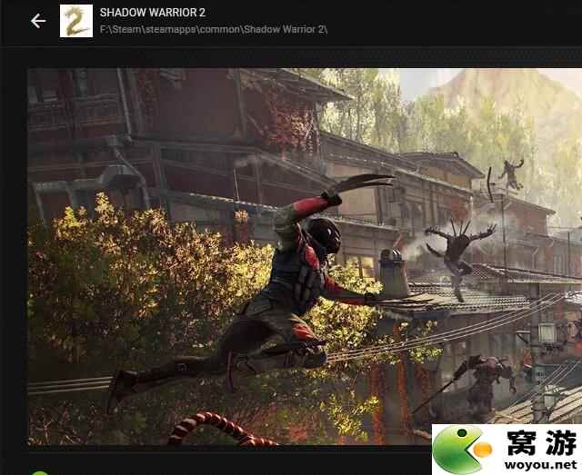 影武者2图形画面设置指南--影武者2卡顿解决方法
